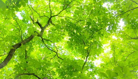 E-learning: ISO 14001:2015 Introduction Course